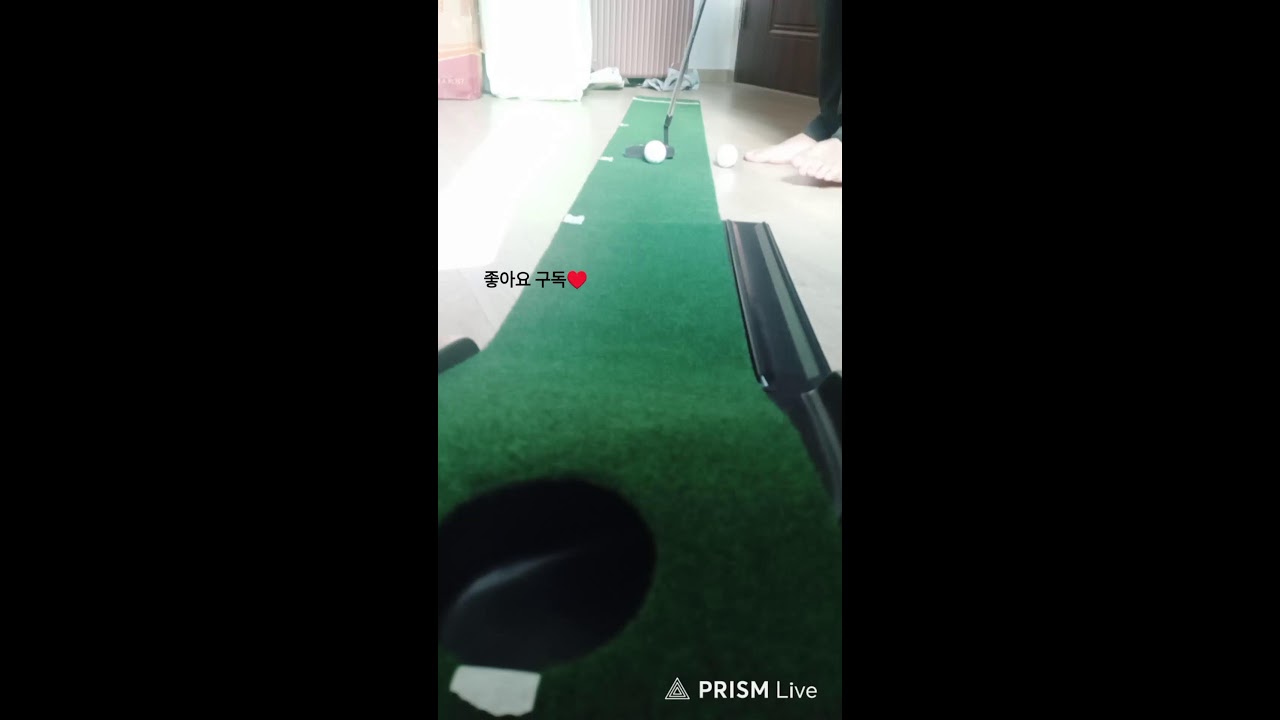 주말 골프퍼팅 딸기꾼 라이브 방송