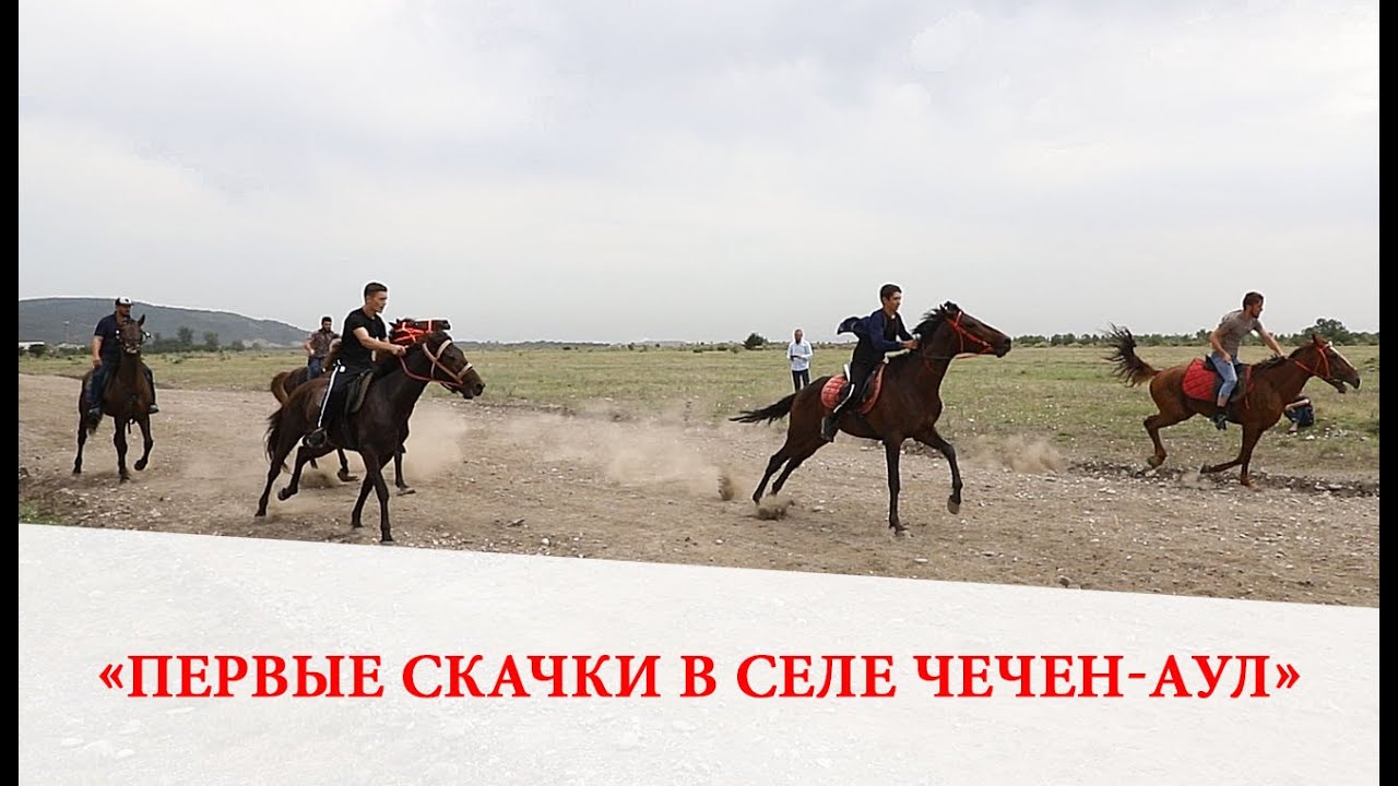 Первые скачки в селе Чечен-Аул.