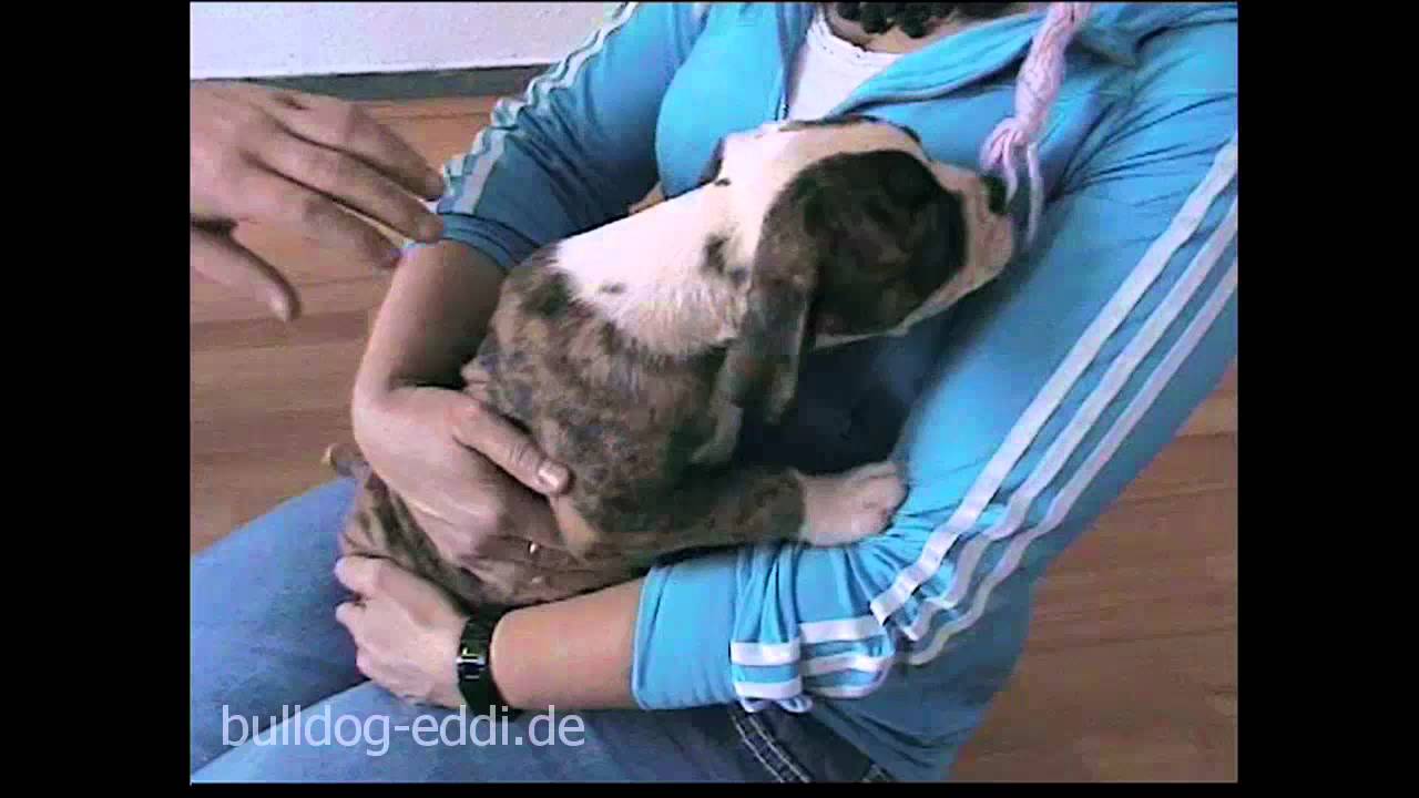ok_ich_komm_mit.mp4