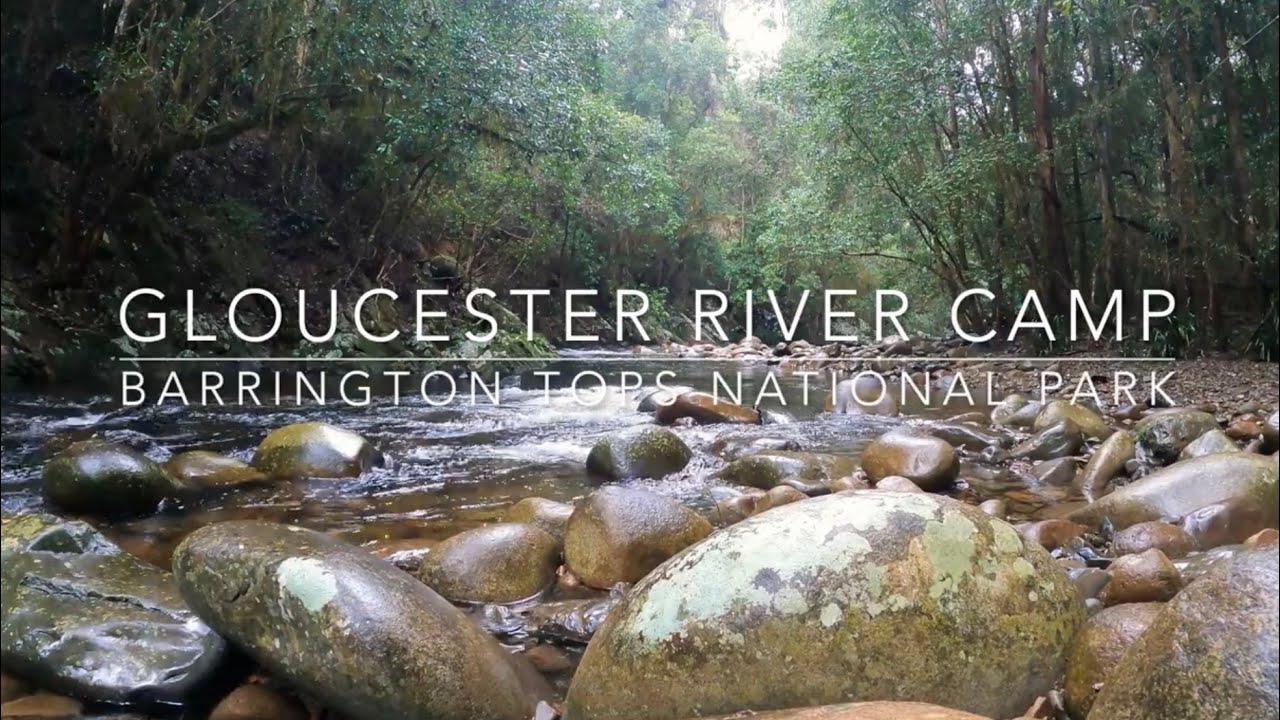 Gloucester River Camp (Barrington Tops NP) Hiking|Camping|Cooking in the Australian Rainforest.