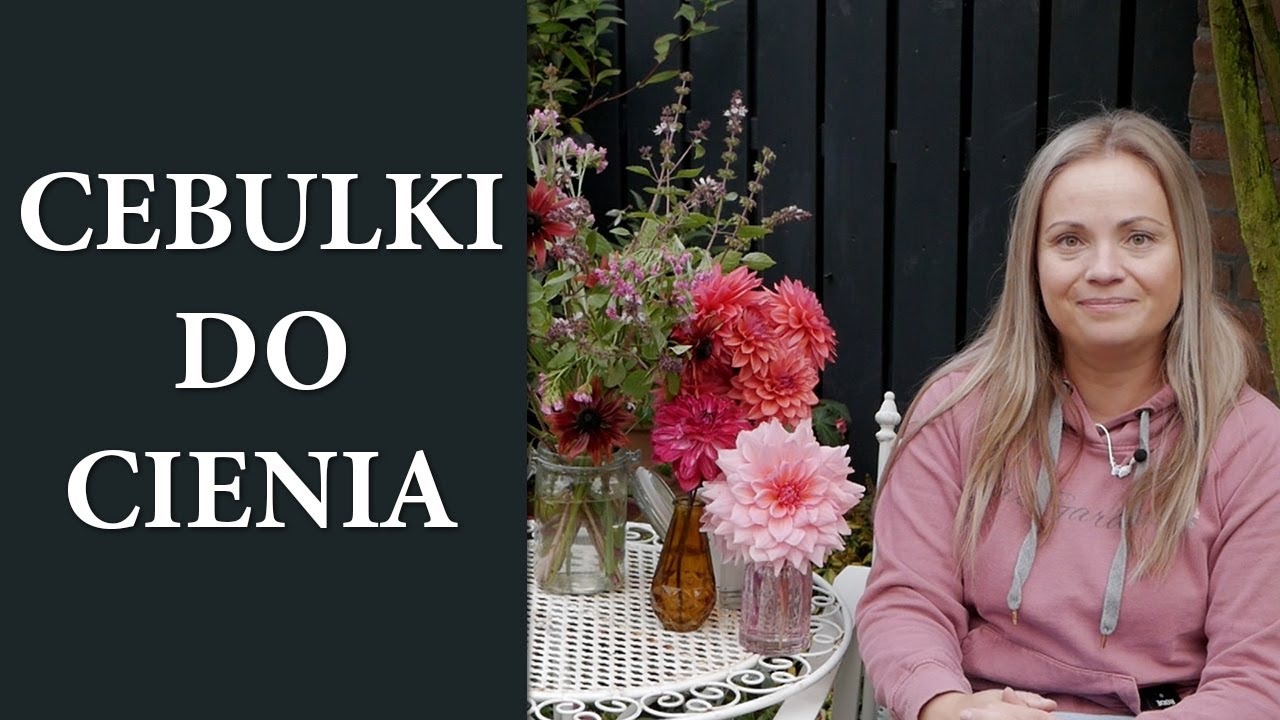 KWIATY CEBULOWE do zacienionych zakątków czyli cebulki do cienia i półcienia / MrsGarden