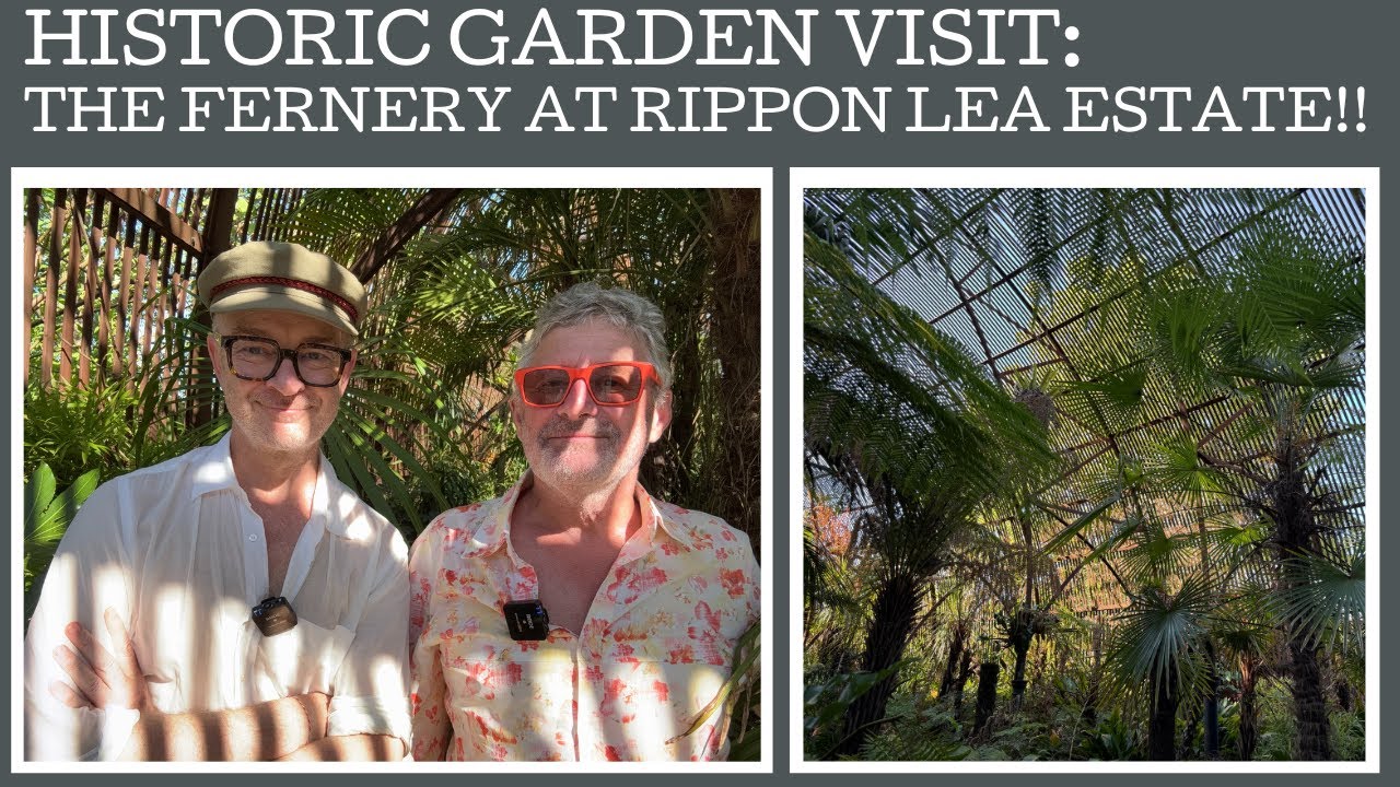 Historic Garden Visit: the fernery at Rippon Lee Estate!