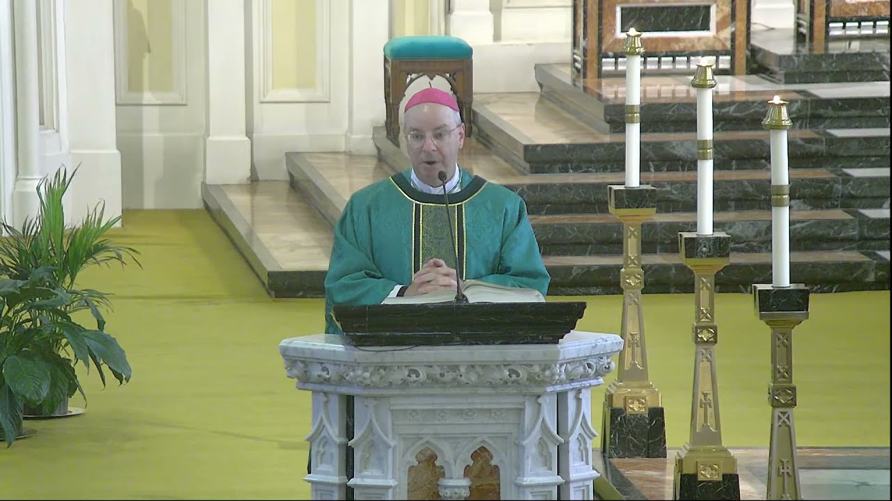 Gospel and Homily, Thirteenth Sunday in Ordinary Time, 27 June