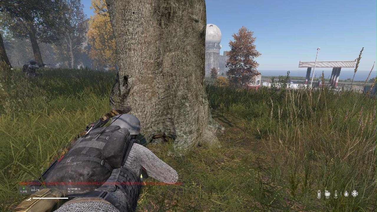 DayZ_20260214021547