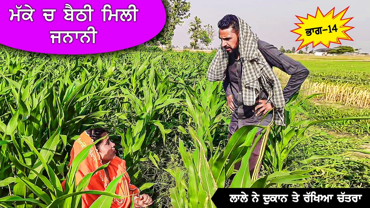 ਮੱਕੇ ਚ ਬੈਠੀ ਮਿਲੀ ਜਨਾਨੀ | ਲਾਲੇ ਨੇ ਦੁਕਾਨ ਤੇ ਰੱਖਿਆ ਚਤਰਾ (Part 14) DESI MASTI TEAM | Comedy Movie 2024