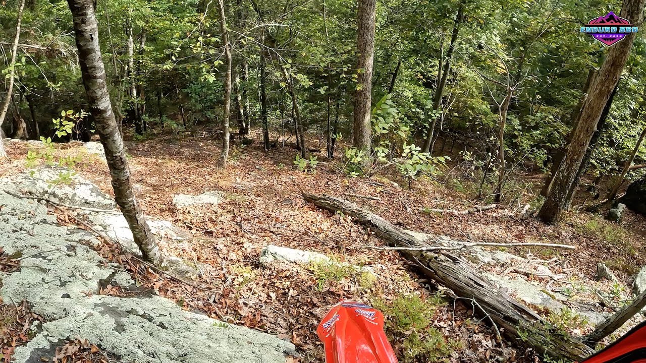 Hitting The Trails In Reverse