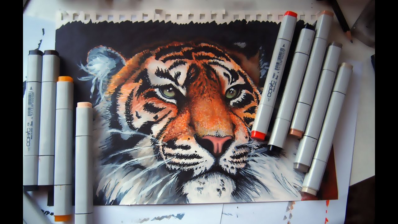 Tiger - copic markers time lapse