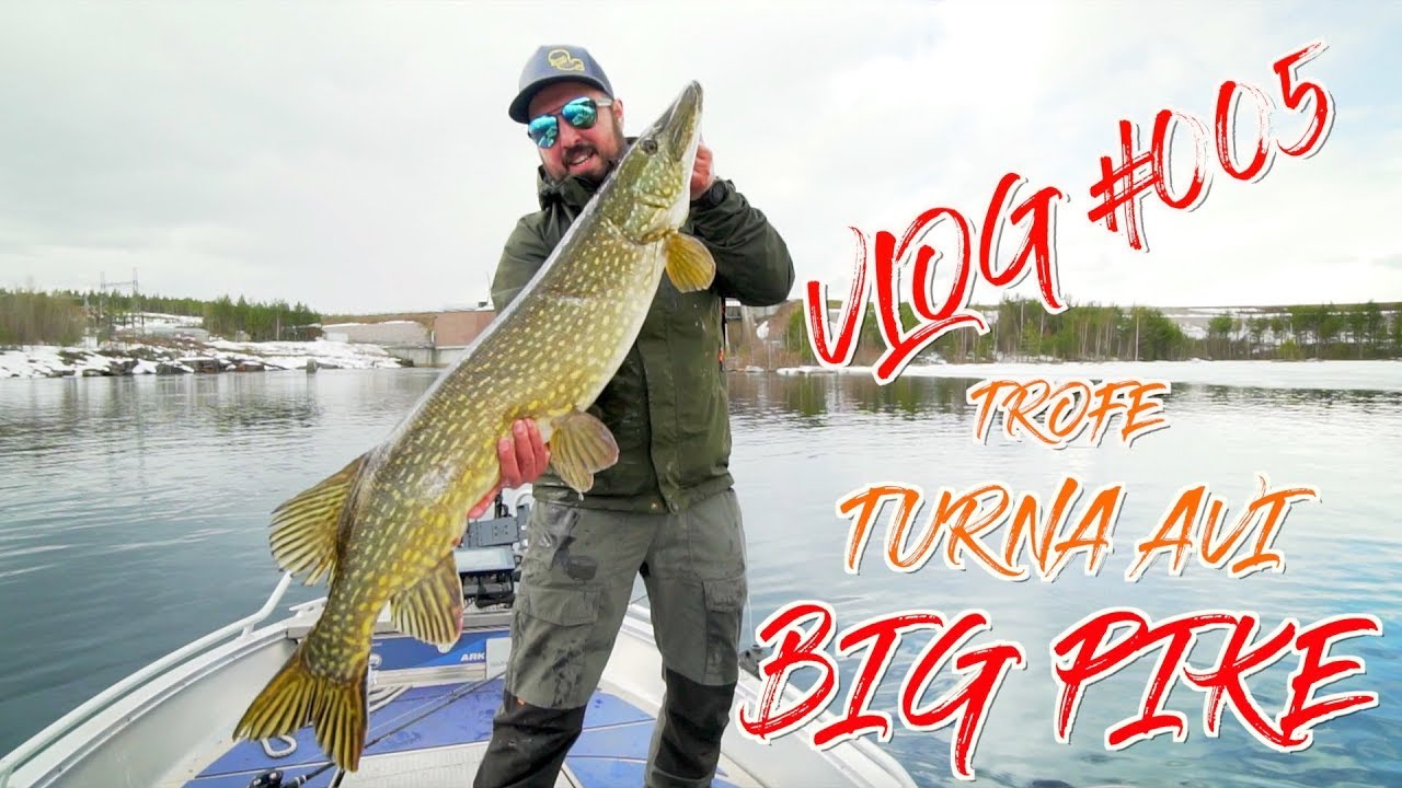 YOK BÖYLE TURNA!! TROFE TURNA AVI, BIG MONSTER PIKE