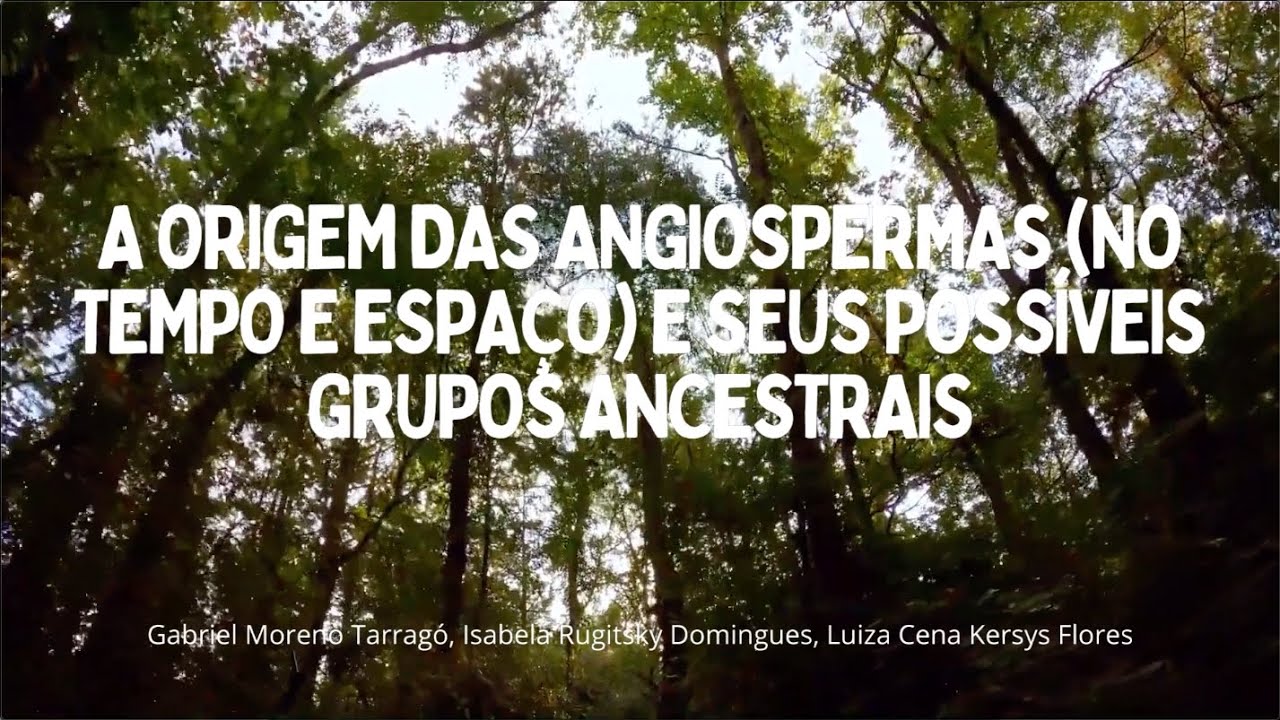 A Origem e Evolução das Angiospermas