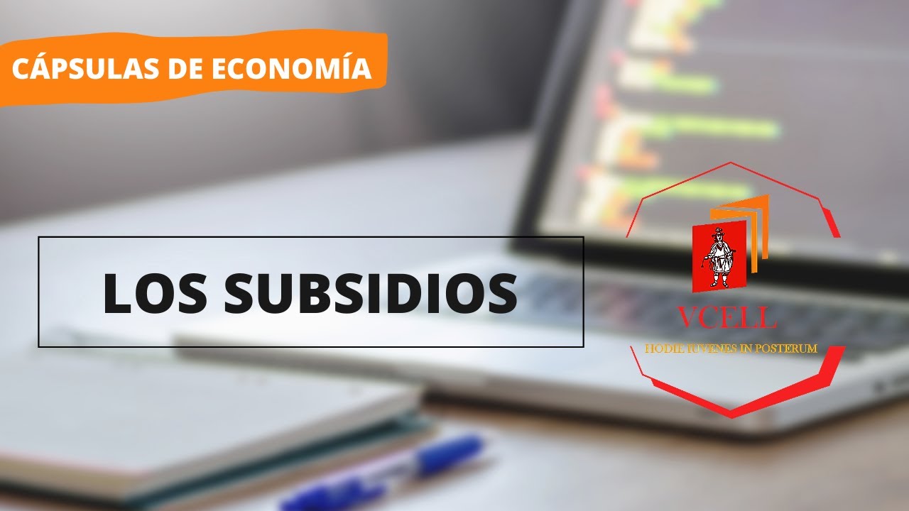 &iquest;QU&Eacute; SON LOS SUBSIDIOS? / C&Aacute;PSULAS ECON&Oacute;MICAS