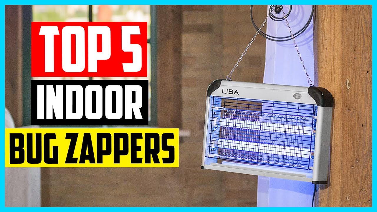 Top 5 Best Indoor Bug Zappers in 2025 Reviews