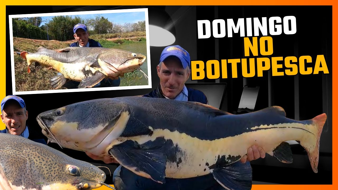 DOMINGO COM MUITAS PIRARARAS NO BOITUPESCA - Fishingtur 1119