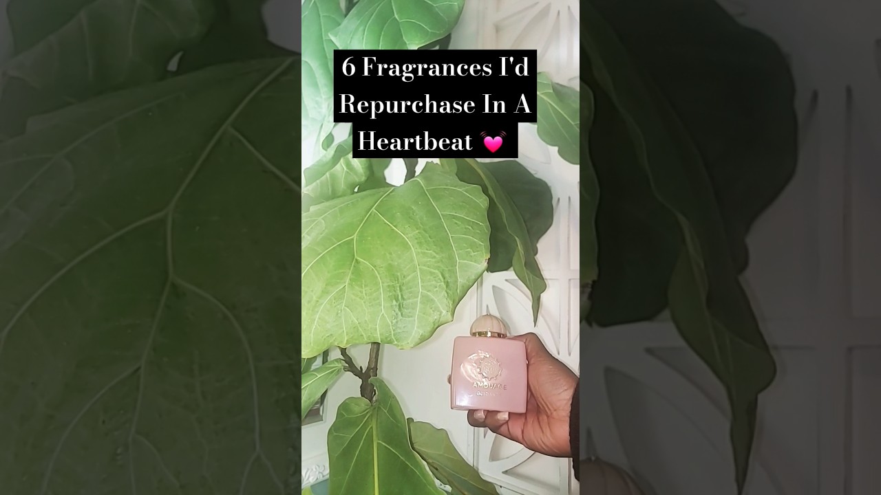 6 Fragrances I'd Repurchase In A Heartbeat 💓 #shorts #topfragrances #perfume