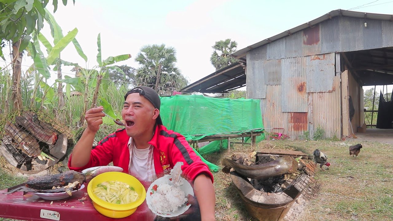 Grill catfish and eat with mango sauce and rice/my specila lunch.