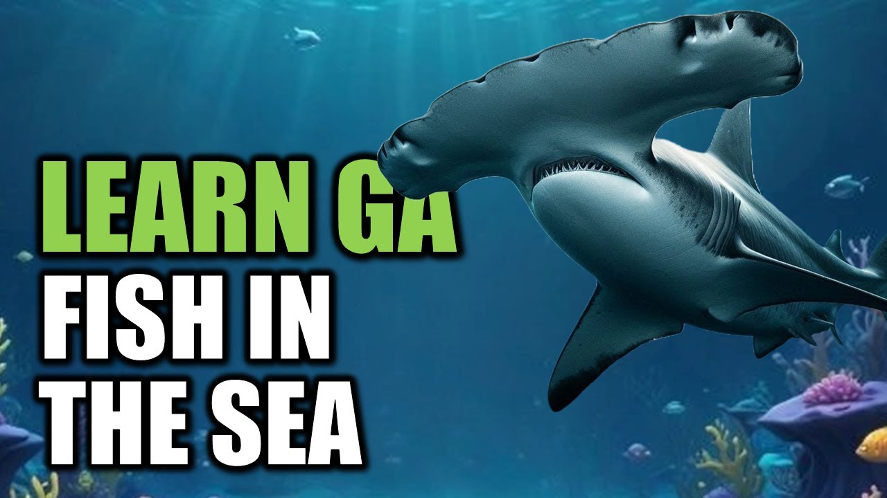 17 Most Common Sea creatures | Learn Ga