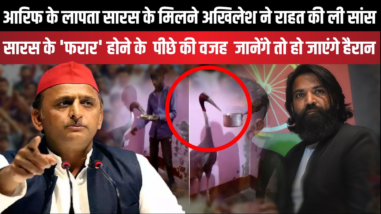 Arif के लापता सारस के मिलने Akhilesh Yadav ने राहत की ली सांस | The Rajneeti
