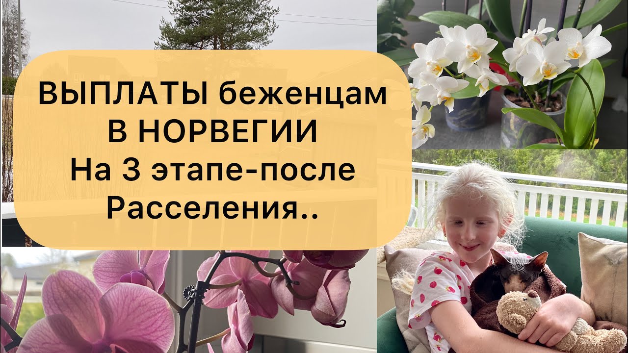 СКОЛЬКО платят УКРАИНСКИМ БЕЖЕНЦАМ в НОРВЕГИИ на 3 этапе, после расселения в коммунах?