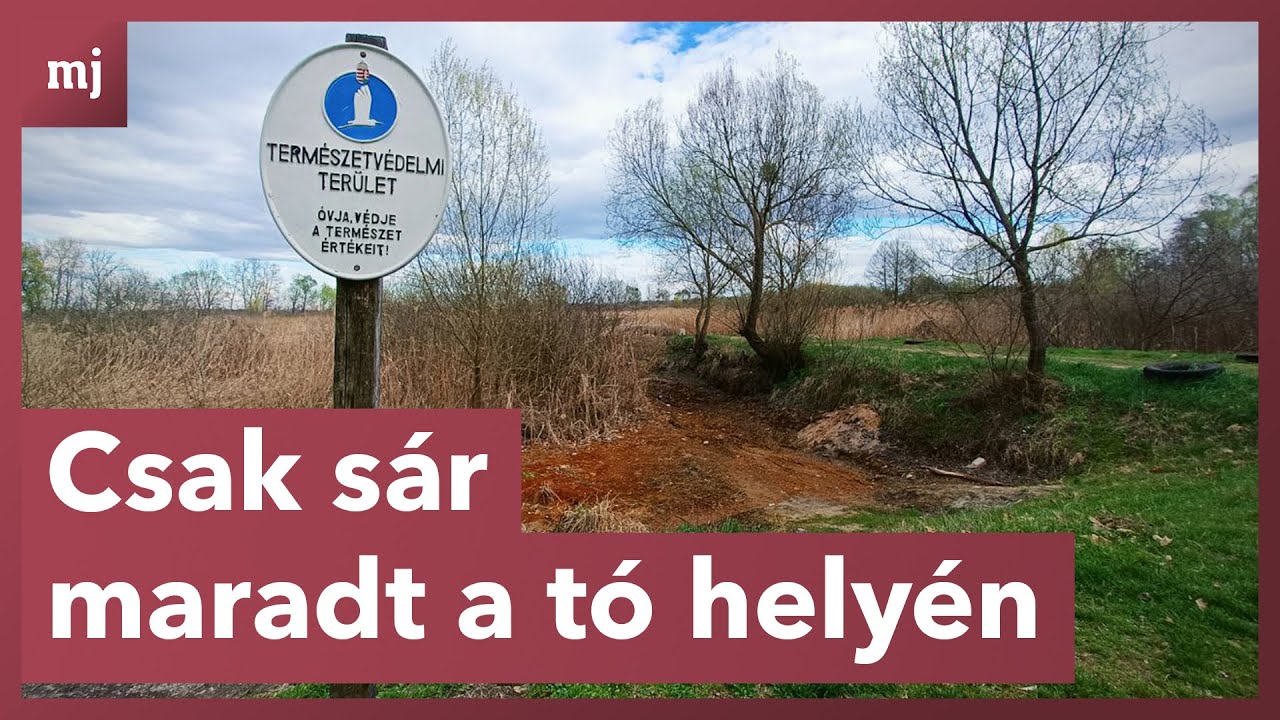Az uniós pénzekkel együtt tűnt el a vajai tó