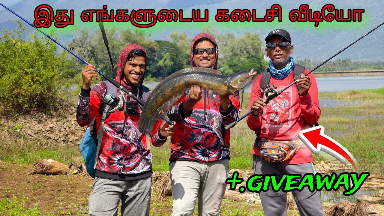 விரால் மீன் பிடிக்க இதை போதும்! Bravvo Rod + Vandu Max Frog ல்யூர்ல First Catch  | Snakehead Fishing