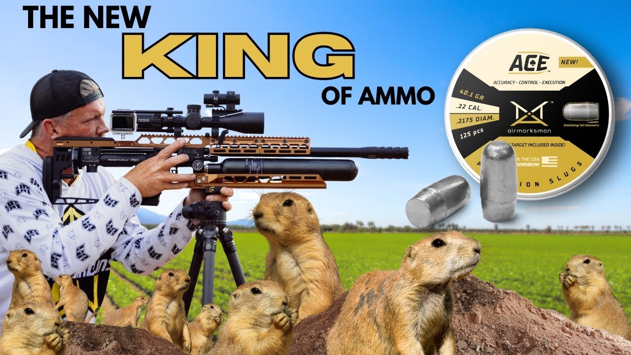 Новый КОРОЛЬ среди боеприпасов для пневматического оружия! | AirMarksman Slugs: практическое прим...