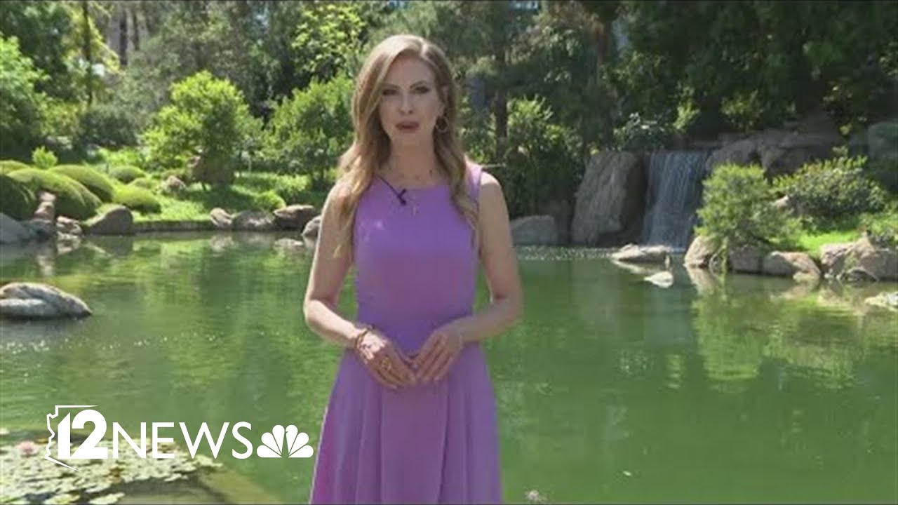 Rediscover Arizona: Zone-in on your zen at Phoenix's Japanese Friendship Garden