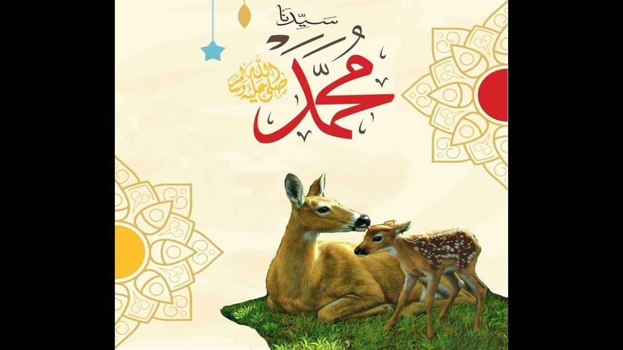 إنشاد الغزالة الرائع مرفوقا بالكلمات ... فرجة ممتعة .