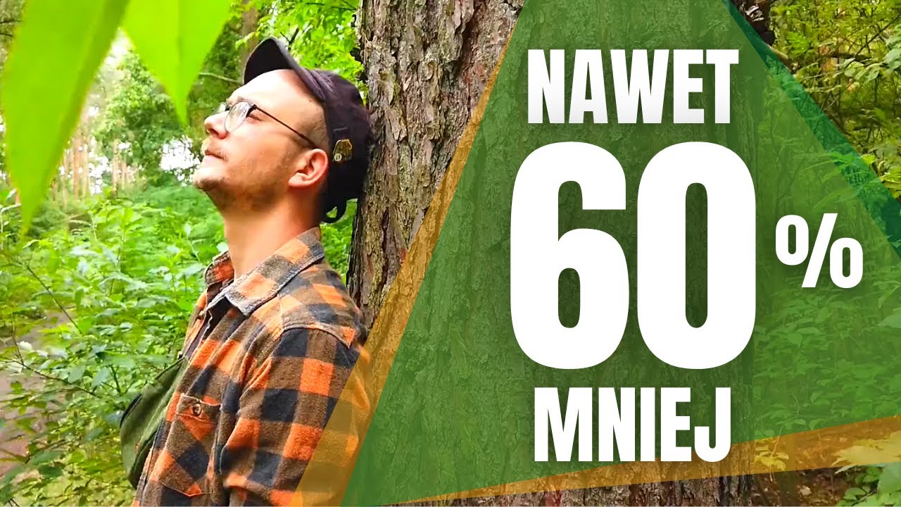 Jak PRZYJEMNIE obniżyć poziom stresu? Czyli terapia LASEM 🌳 Shinrin-yoku - dobra lasoterapia 💚