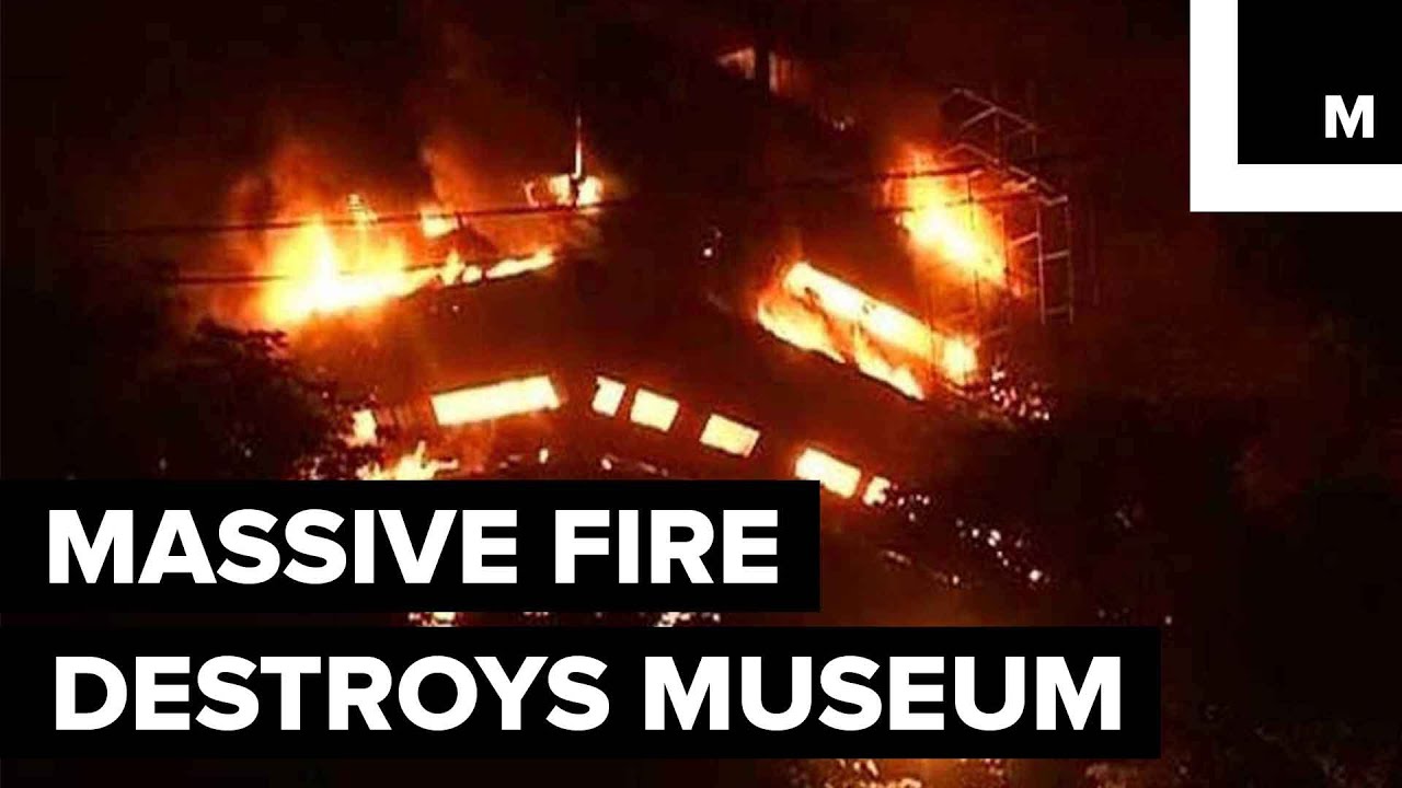 Massive Fire Destroys India's National Museum of Natural History