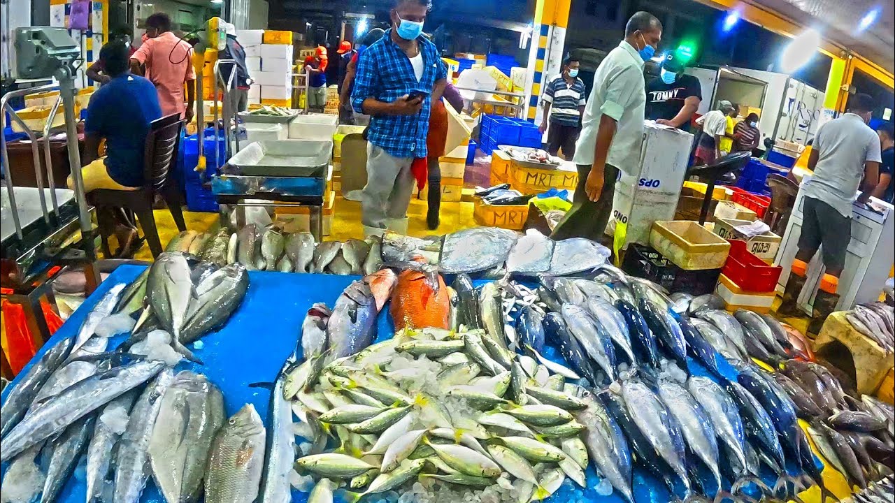 SOUTH ASIA'S LARGEST FISH MARKET