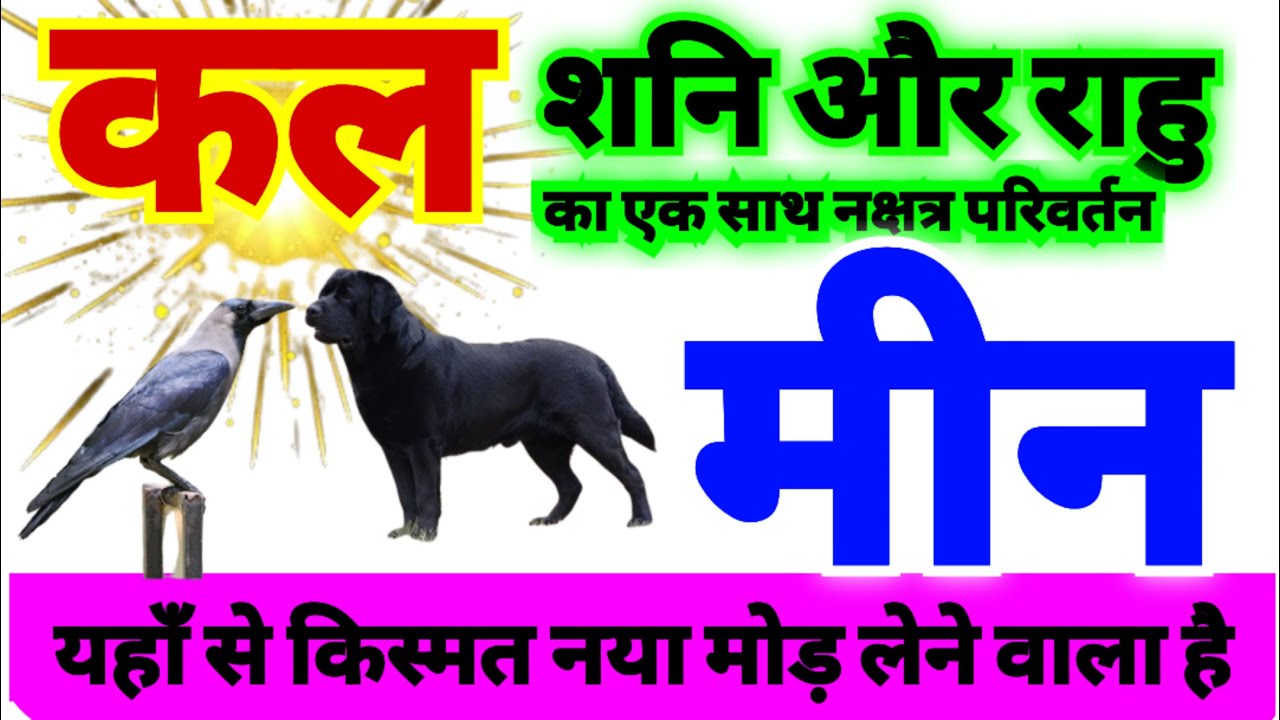 मीन राशि कल 20 जनवरी मंगलवार 2026 को शनि और राहु दोनों का नक्षत्र परिवर्तन से लाभ होगा लाभ