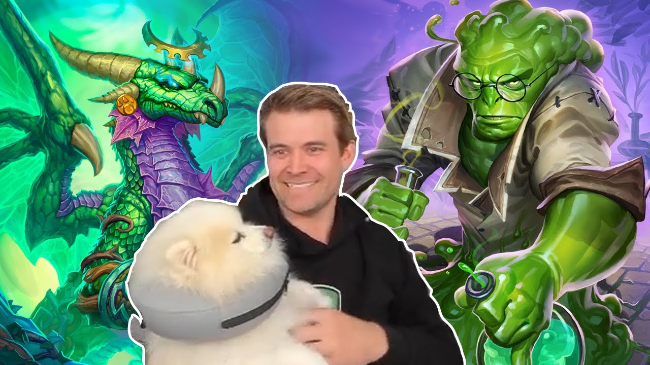 (Hearthstone) The Dragon Druid Dream