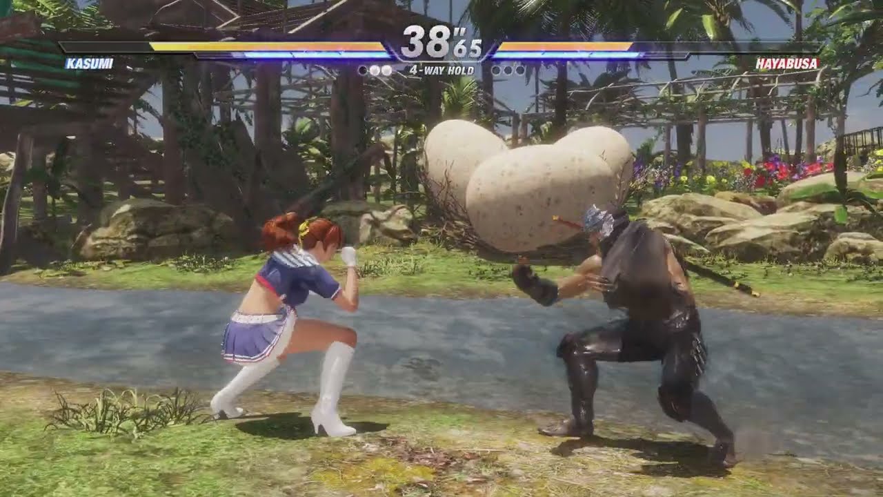 DEAD OR ALIVE 6 -KASUMI VS HAYABUSA-