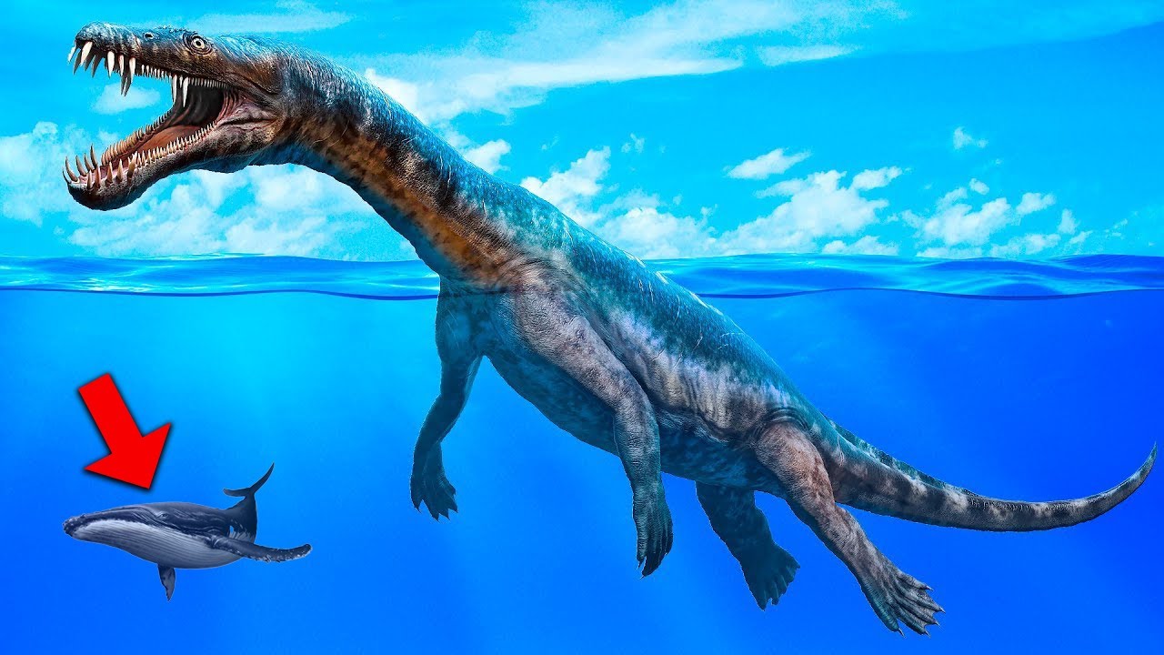 TOP Cele Mai Mari Creaturi Care Au Existat Pe Planeta