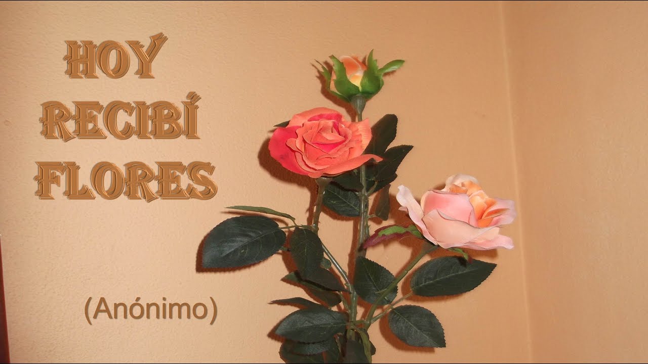 Contra los malos tratos. (Día contra la #violencia a la #mujer): Hoy recibí flores.