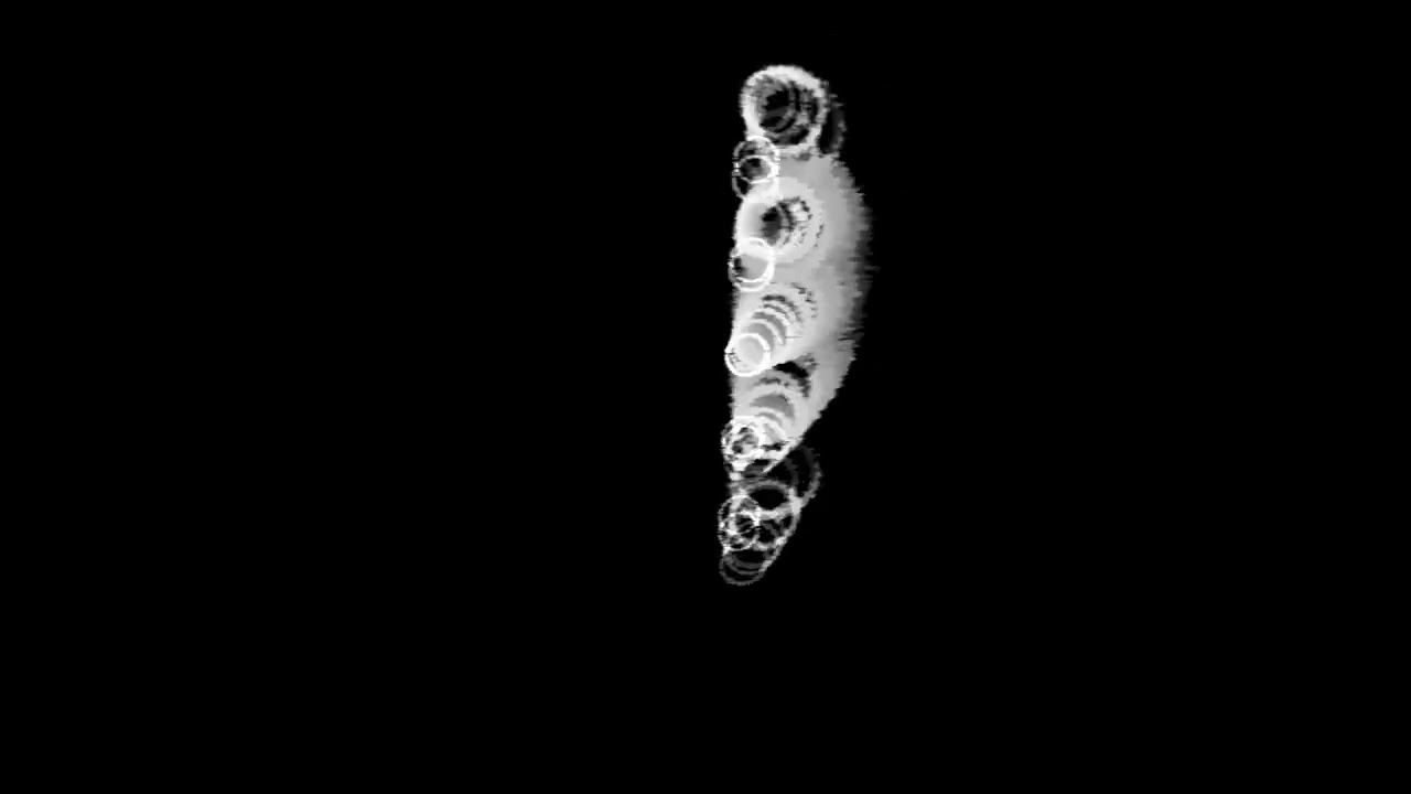 BW Circle Reactive Lizard