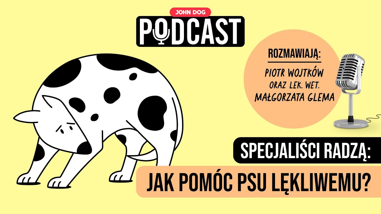 PODCAST – Jak pomóc psu lękliwemu? | Rozmowa behawiorysty i lekarza weterynarii