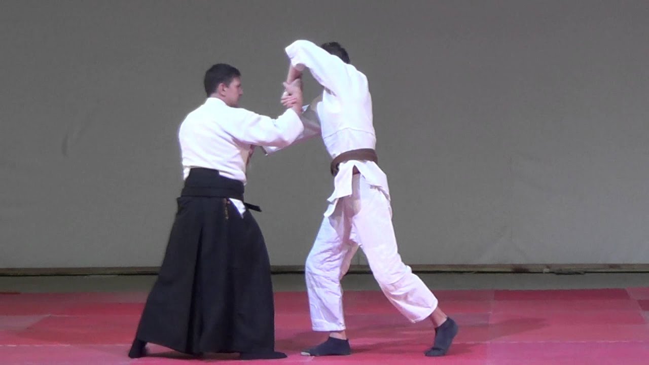 KOKODO JUJUTSU   Demonstration MEIYO DOJO KYIV, UKRAINE 2015