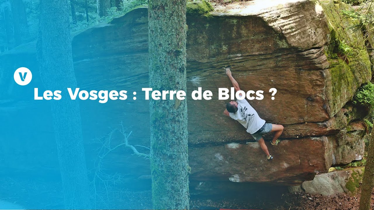 Les Vosges : Terre de Blocs ?