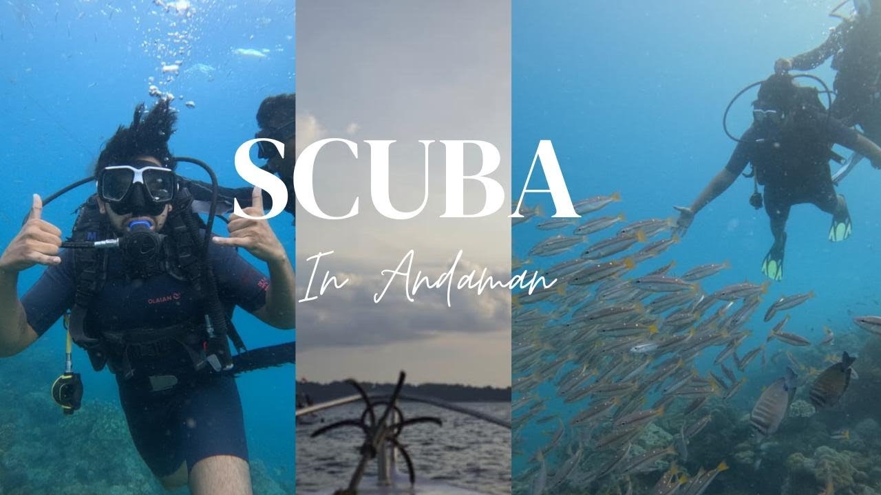 Lost beneath the waves | Andaman Scuba experience 🤿🏝️