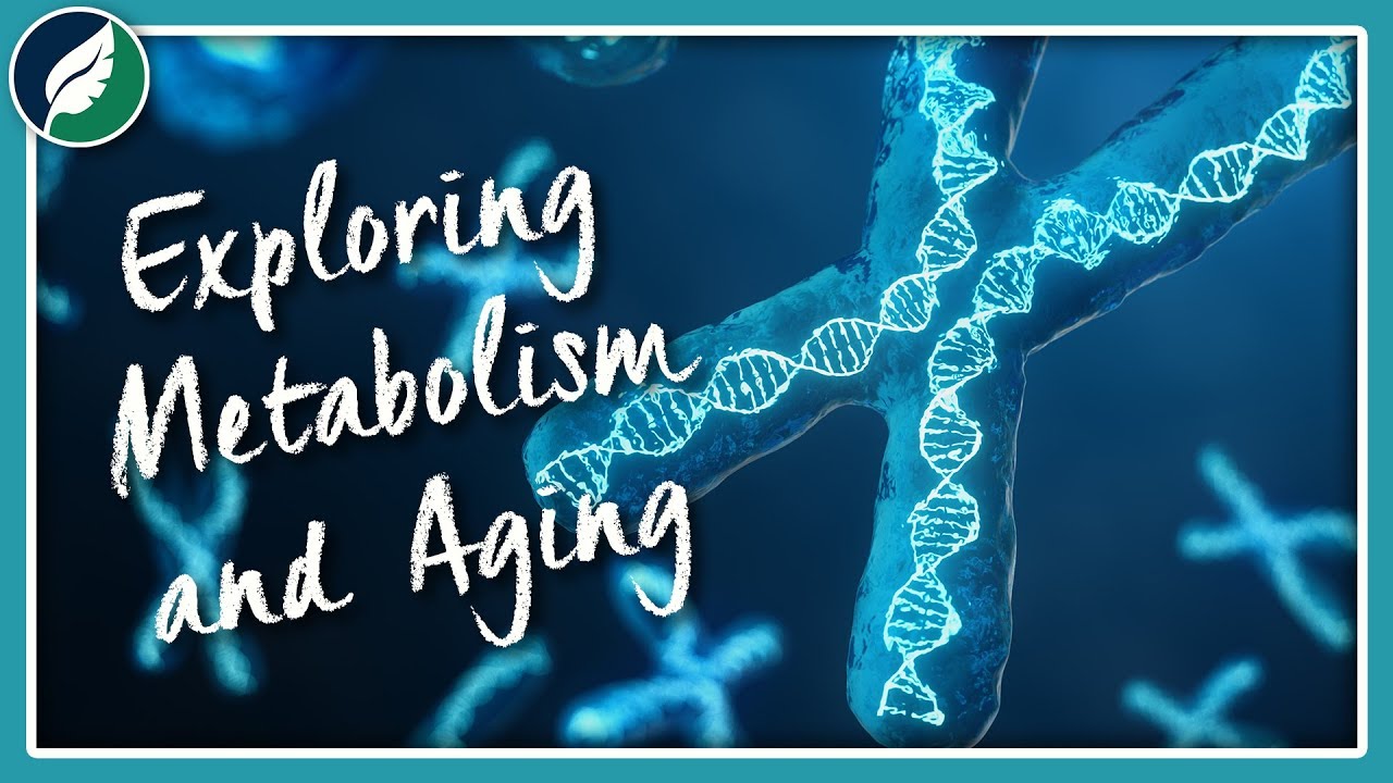 Exploring Metabolism and Aging | Compilation