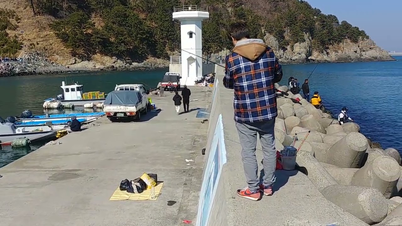 부산 가덕도 새바지  Busan Gadeokdo Daehang Saebagi Breakwater Hanghak Saury Fishing