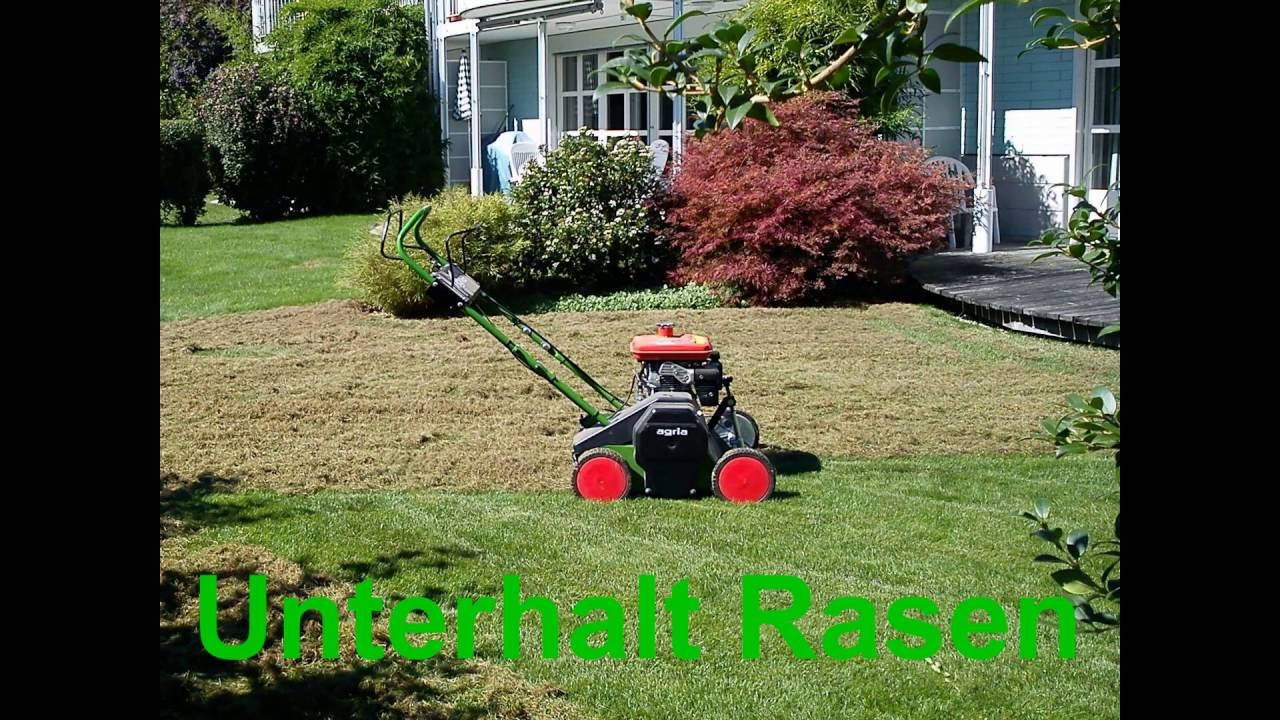 Rasenrenovation, Rasen vertikutieren