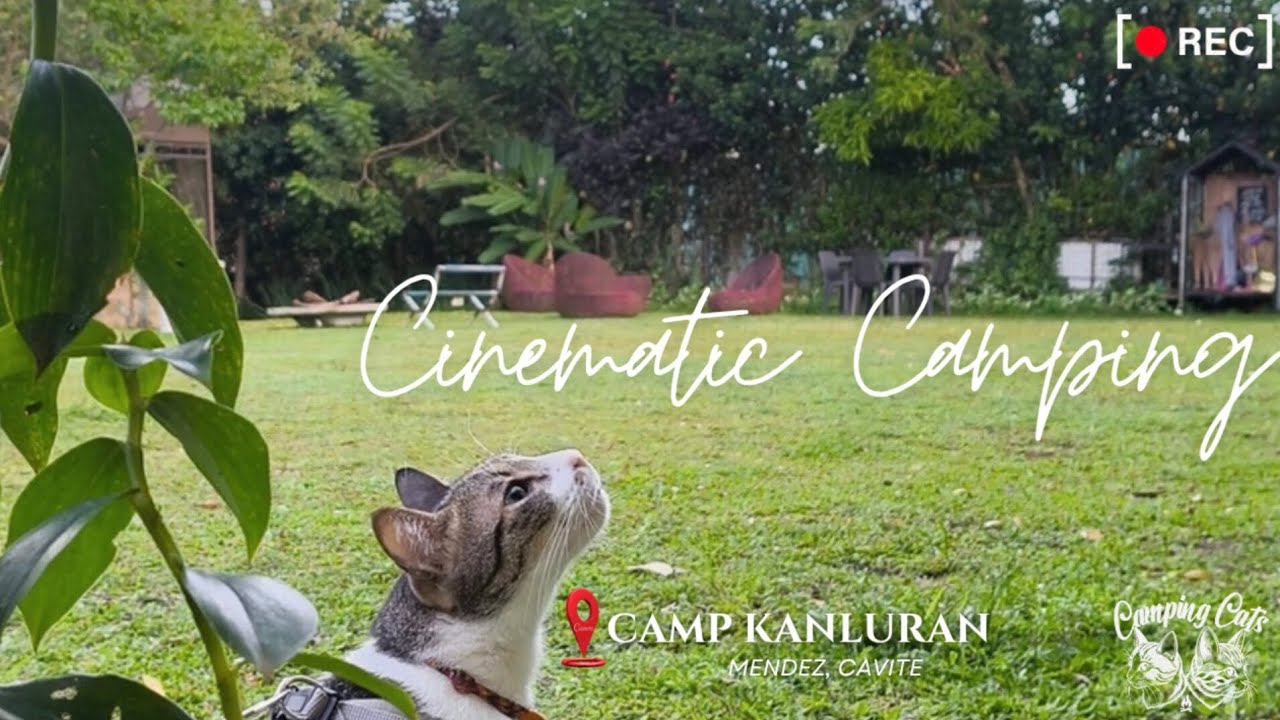 Camping with Our Cats | Tagaytay Camping | Cinematic 4K | 📍 Camp Kanluran, Mendez Cavite