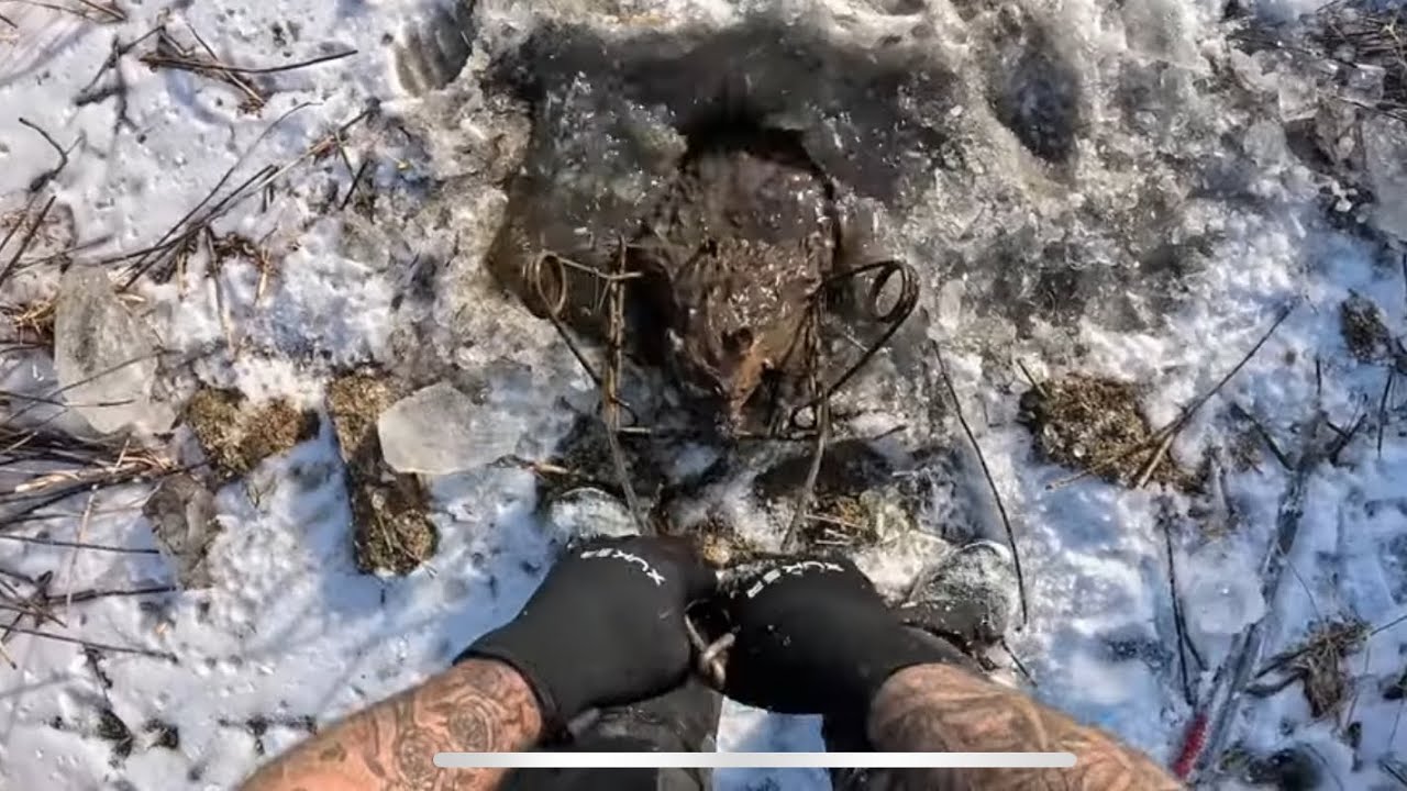 Trapping for beaver and got Dnr involved