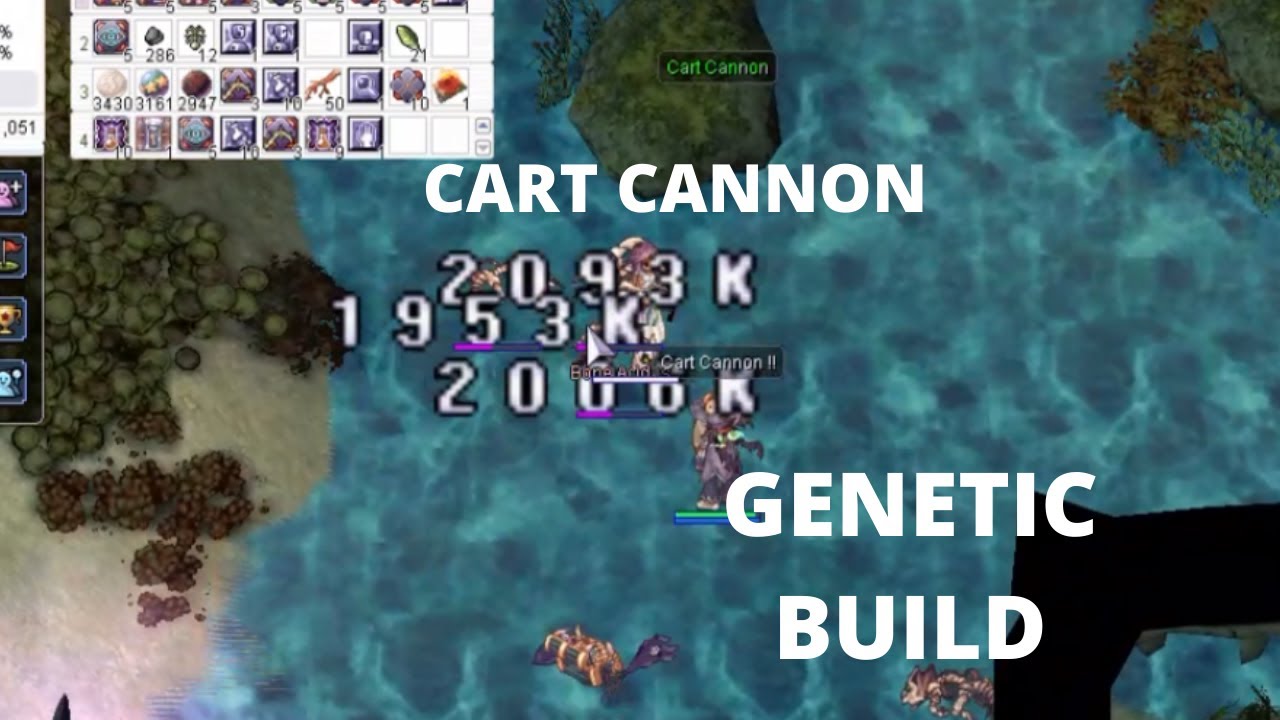 MY GENETIC CART CANNON BUILD [OMG! Ragnarok Online]
