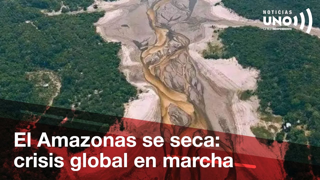 El río Amazonas se está secando: minería, tala y carne en el centro de la crisis | Noticias UNO