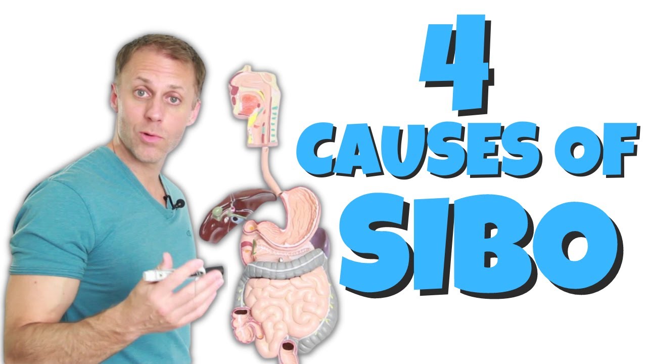 4ish Common Causes of SIBO (Small Intestinal Bacterial Overgrowth)
