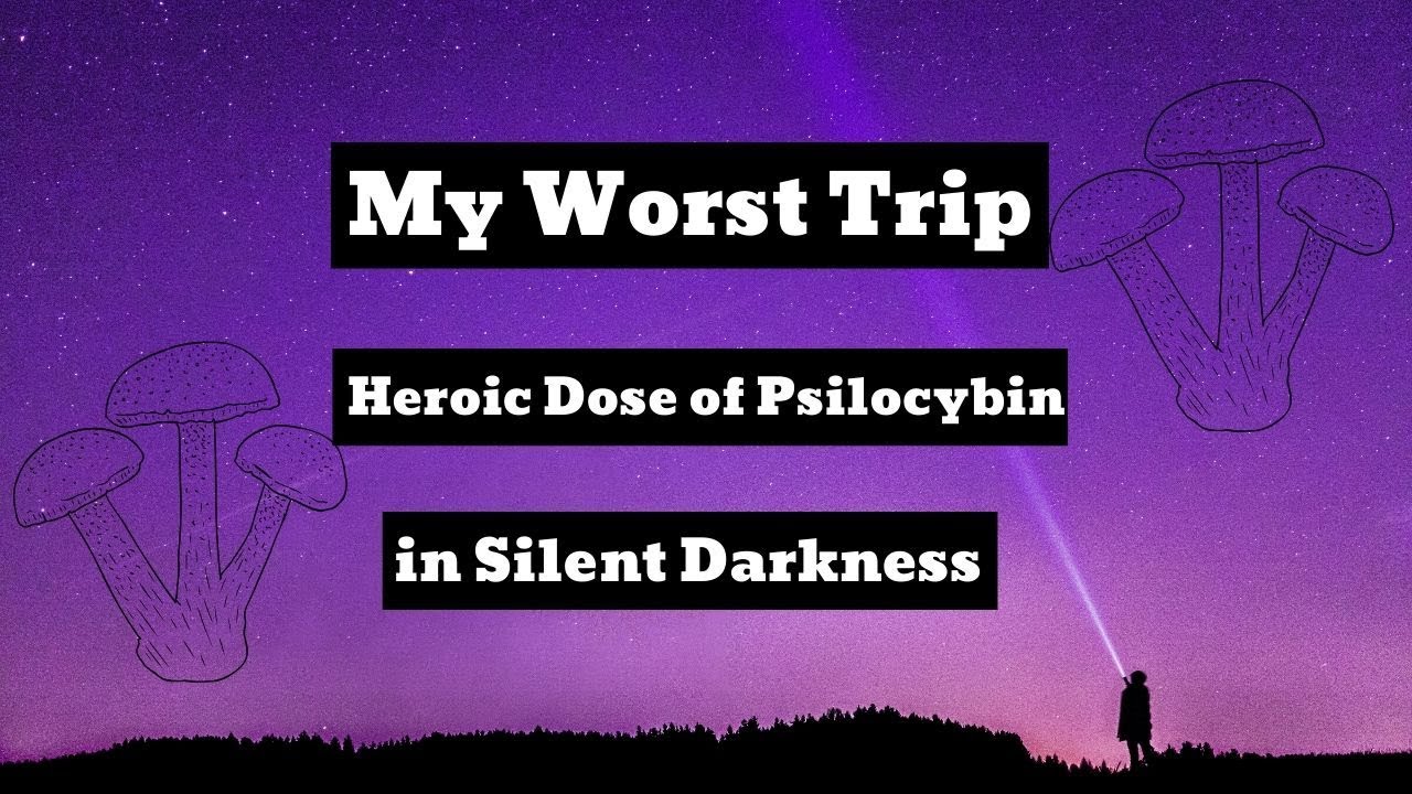 9 hour terror trip-Heroic Psilocybin Mushroom Trip Report (7g)