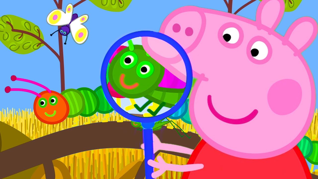 Tant d'insectes ! | Peppa Pig Français Episodes Complets