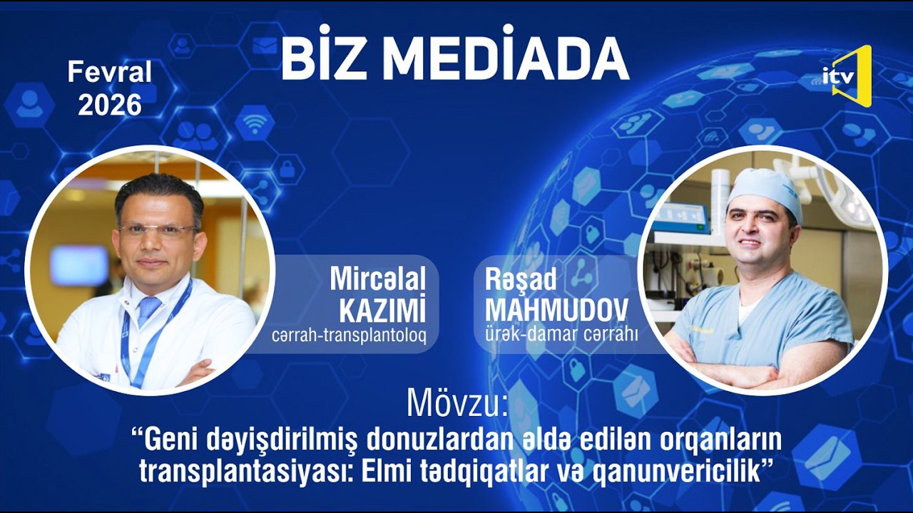 Geni dəyişdirilmiş donuzlardan əldə edilən orqanların transplantasiyası barədə süjet